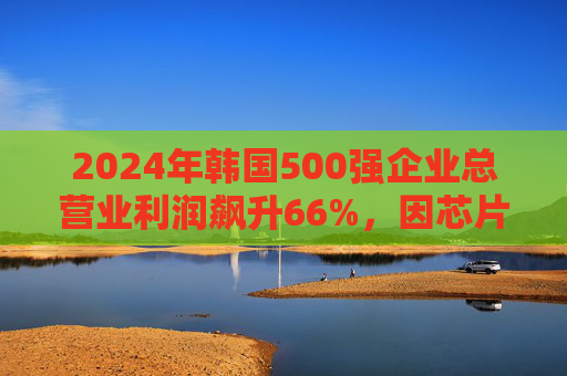 2024年韩国500强企业总营业利润飙升66%，因芯片需求强劲