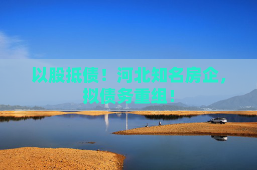 以股抵债！河北知名房企，拟债务重组！