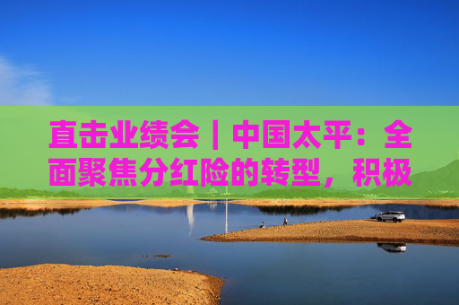 直击业绩会｜中国太平：全面聚焦分红险的转型，积极落实资金入市实施方案