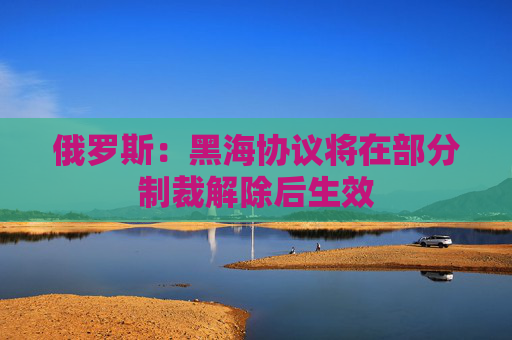 俄罗斯：黑海协议将在部分制裁解除后生效