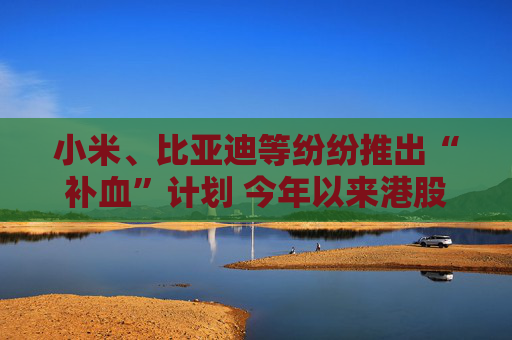小米、比亚迪等纷纷推出“补血”计划 今年以来港股再融资规模逾千亿港元