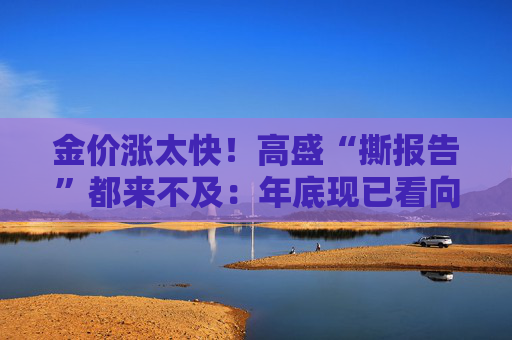 金价涨太快！高盛“撕报告”都来不及：年底现已看向3300美元