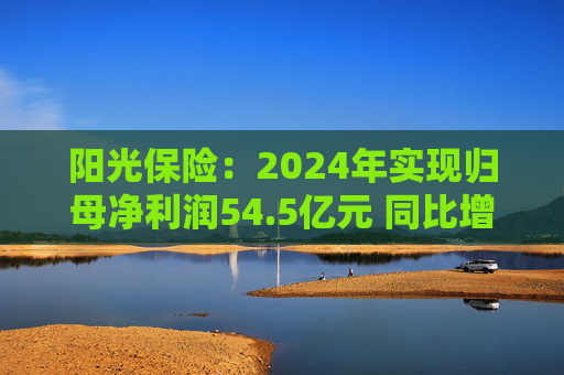 阳光保险：2024年实现归母净利润54.5亿元 同比增长45.8%