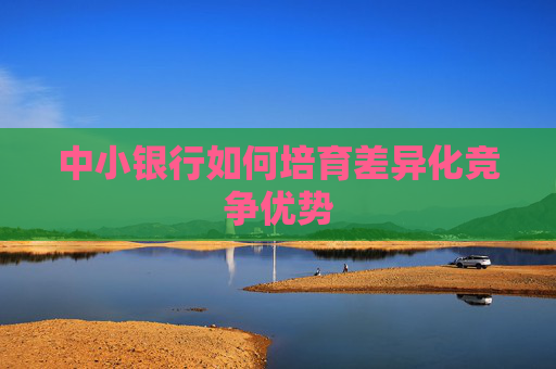 中小银行如何培育差异化竞争优势