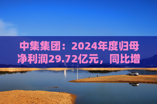 中集集团：2024年度归母净利润29.72亿元，同比增长605.60%