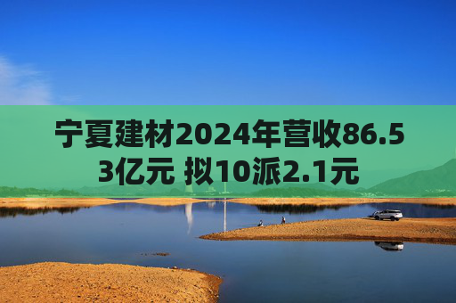 宁夏建材2024年营收86.53亿元 拟10派2.1元