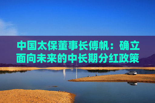 中国太保董事长傅帆：确立面向未来的中长期分红政策