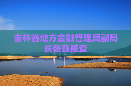 吉林省地方金融管理局副局长张巍被查