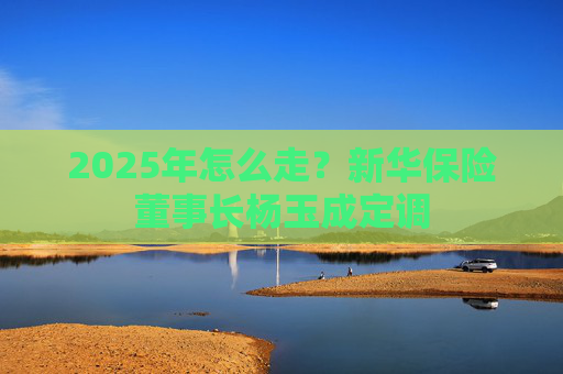 2025年怎么走？新华保险董事长杨玉成定调
