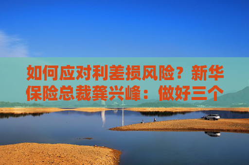 如何应对利差损风险？新华保险总裁龚兴峰：做好三个平衡、四项举措  第1张