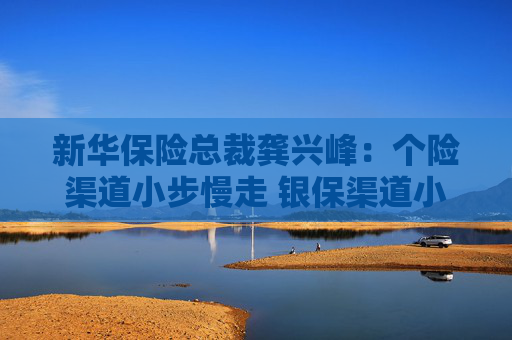 新华保险总裁龚兴峰：个险渠道小步慢走 银保渠道小步快走