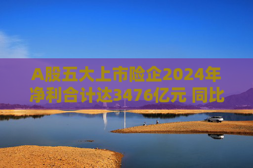 A股五大上市险企2024年净利合计达3476亿元 同比增长近八成