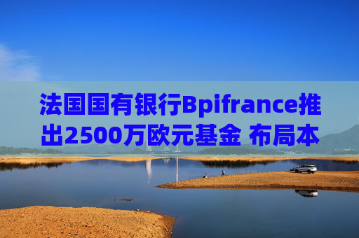 法国国有银行Bpifrance推出2500万欧元基金 布局本土加密货币