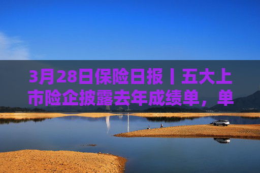 3月28日保险日报丨五大上市险企披露去年成绩单，单季“举牌”超10次，保险资金加大入市步伐