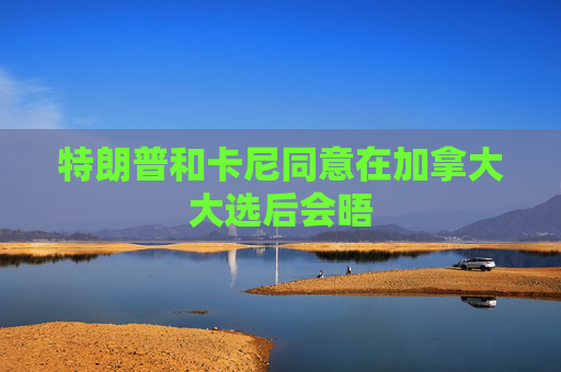 特朗普和卡尼同意在加拿大大选后会晤