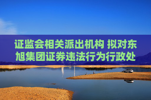 证监会相关派出机构 拟对东旭集团证券违法行为行政处罚