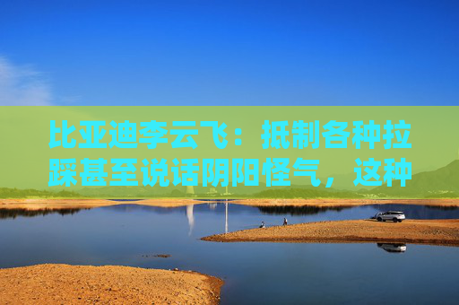 比亚迪李云飞：抵制各种拉踩甚至说话阴阳怪气，这种行为非常讨厌