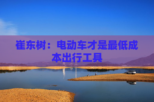 崔东树：电动车才是最低成本出行工具