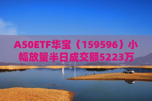 A50ETF华宝（159596）小幅放量半日成交额5223万元，换手率位居同类第一