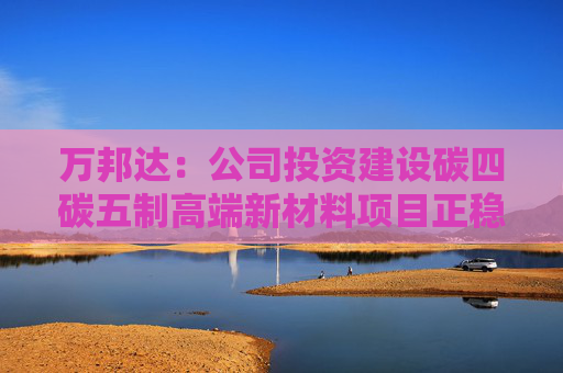4500网约外围模特女神 万邦达：公司投资建设碳四碳五制高端新材料项目正稳步推进中  第1张