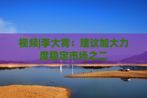 视频|李大霄：建议加大力度稳定市场之二