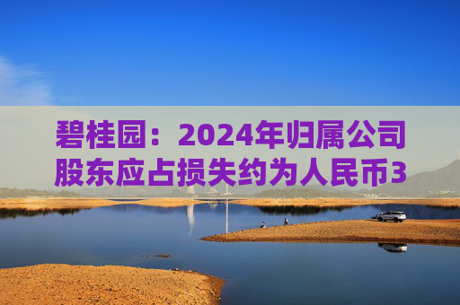4480yy在线A片无码 碧桂园：2024年归属公司股东应占损失约为人民币328亿元  第1张