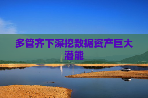 多管齐下深挖数据资产巨大潜能