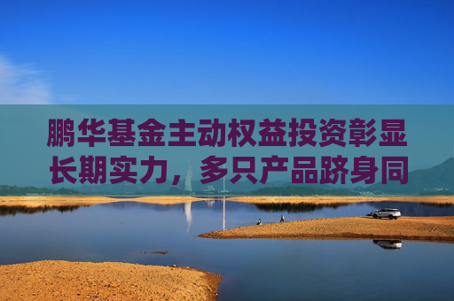 鹏华基金主动权益投资彰显长期实力，多只产品跻身同类前20%