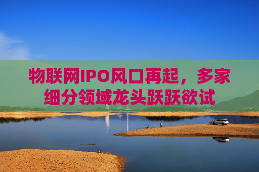 物联网IPO风口再起，多家细分领域龙头跃跃欲试
