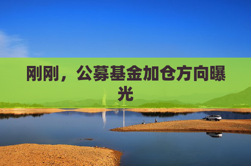 刚刚，公募基金加仓方向曝光