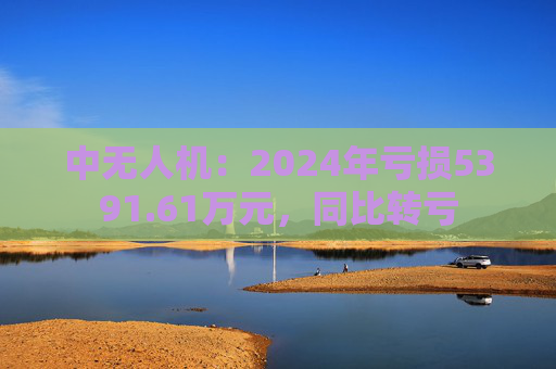 中无人机：2024年亏损5391.61万元，同比转亏