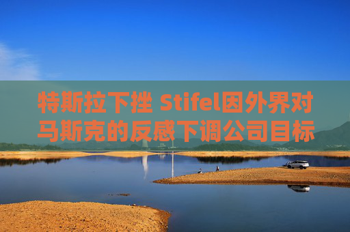特斯拉下挫 Stifel因外界对马斯克的反感下调公司目标价