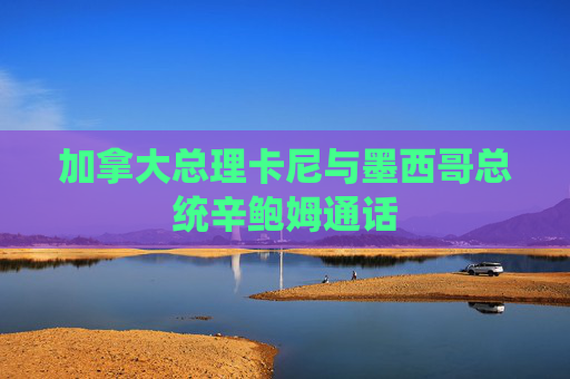 4480yy在线A片无码 加拿大总理卡尼与墨西哥总统辛鲍姆通话  第1张