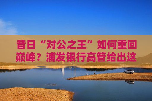 昔日“对公之王”如何重回巅峰？浦发银行高管给出这些打法