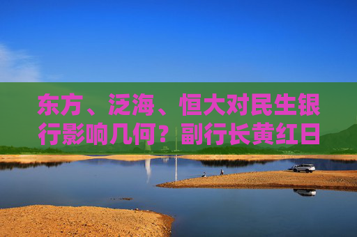 东方、泛海、恒大对民生银行影响几何？副行长黄红日：已进行拨备计提，不会产生重大影响