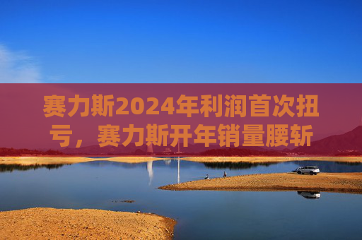 赛力斯2024年利润首次扭亏，赛力斯开年销量腰斩