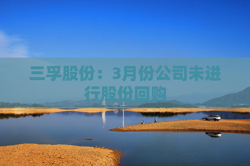 三孚股份：3月份公司未进行股份回购