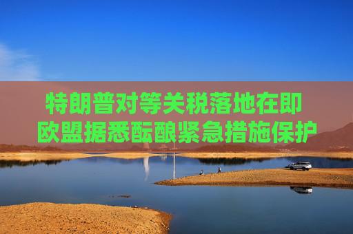 特朗普对等关税落地在即 欧盟据悉酝酿紧急措施保护经济