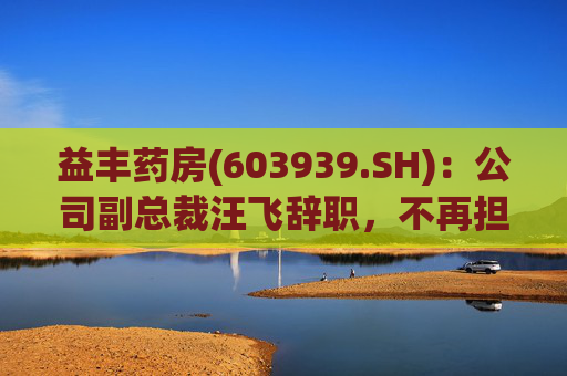 益丰药房(603939.SH)：公司副总裁汪飞辞职，不再担任公司其他职务