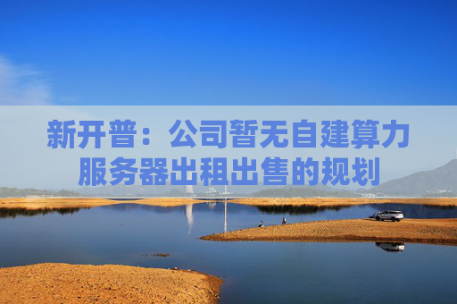 新开普：公司暂无自建算力服务器出租出售的规划
