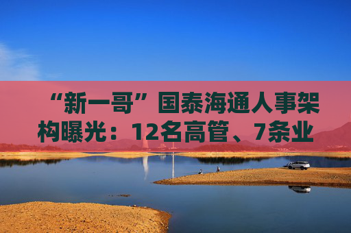 “新一哥”国泰海通人事架构曝光：12名高管、7条业务线、41个部门浮出水面