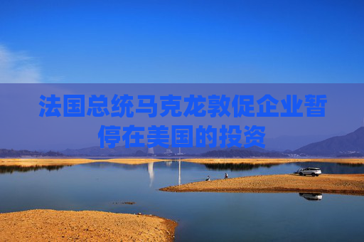 法国总统马克龙敦促企业暂停在美国的投资