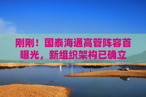 刚刚！国泰海通高管阵容首曝光，新组织架构已确立