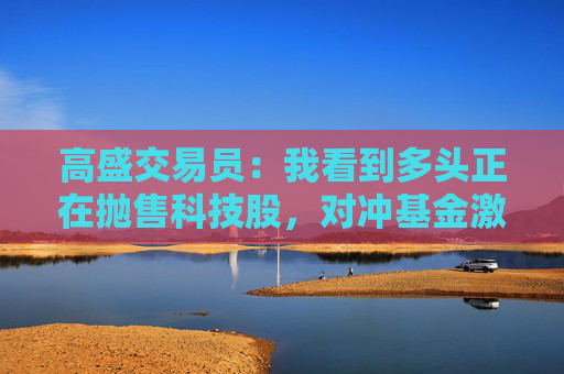 高盛交易员：我看到多头正在抛售科技股，对冲基金激进做空