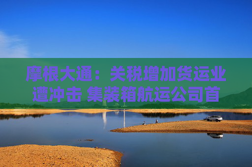 摩根大通：关税增加货运业遭冲击 集装箱航运公司首当其冲