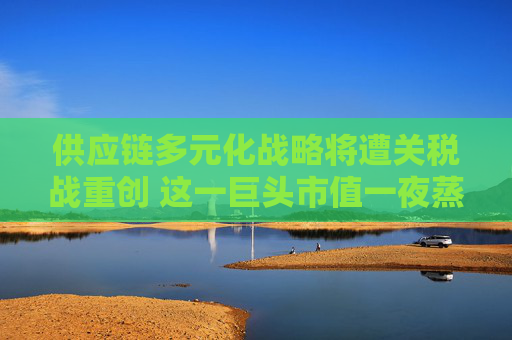 供应链多元化战略将遭关税战重创 这一巨头市值一夜蒸发超3000亿美元  第1张