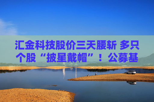 汇金科技股价三天腰斩 多只个股“披星戴帽”！公募基金如何“避雷”？