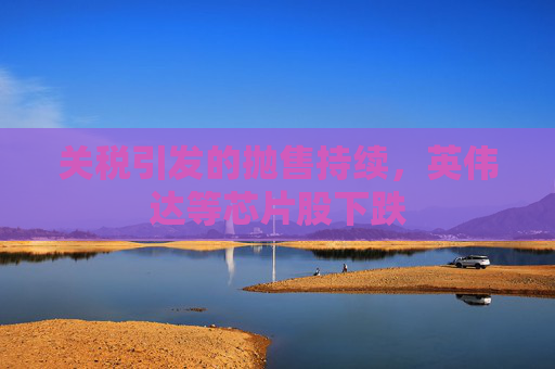 关税引发的抛售持续，英伟达等芯片股下跌
