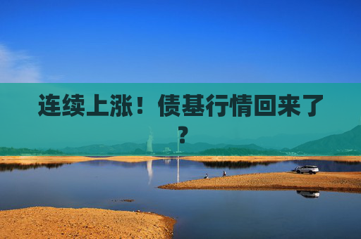 连续上涨！债基行情回来了？