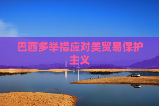 巴西多举措应对美贸易保护主义